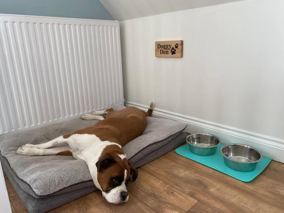 The Swish - New Forest Get Away Redlynch  Buitenkant foto